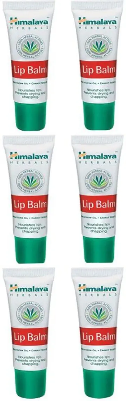 lipbalm pack of 6 250.webp